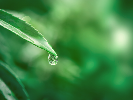 Et si on préservait l'eau ? - Le Pays rethélois a besoin de votre avis