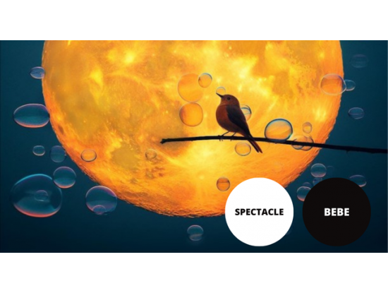 Spectacle "Le soleil se lève"