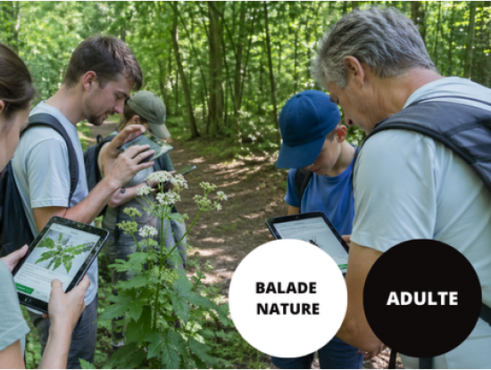 Balade nature et numérique