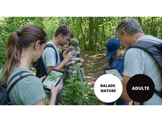 Balade nature et numérique