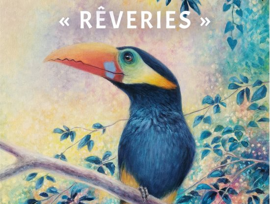 Exposition - Musée Verlaine