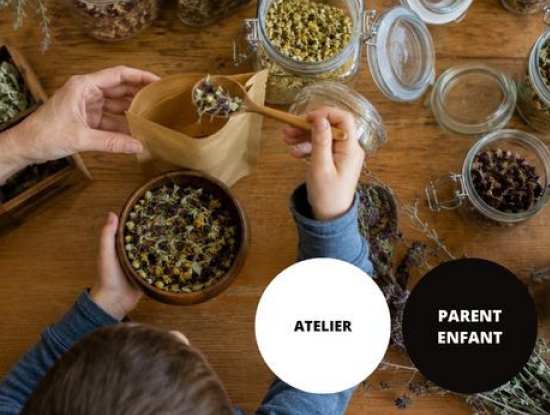 Atelier parent-enfant : éveil des sens avec les plantes