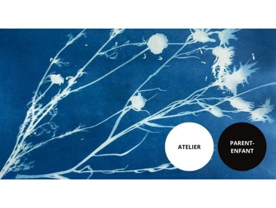 Atelier parent-enfant-cyanotype herbier